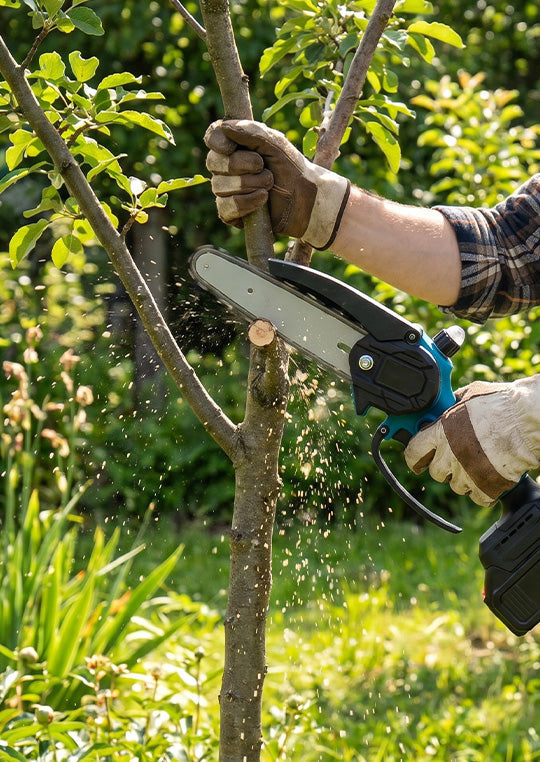 Cordless 16 cm Mini Saw