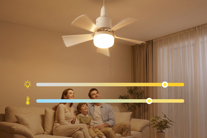 2-in-1 Ceiling Fan with Remote Control