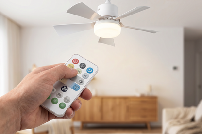 2-in-1 Ceiling Fan with Remote Control