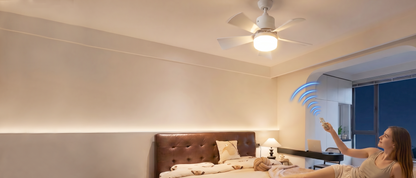 2-in-1 Ceiling Fan with Remote Control