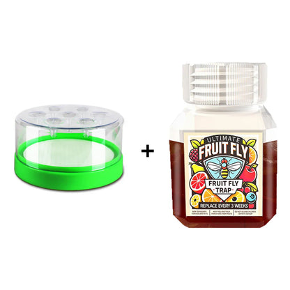 Non-Electric Fly Trap