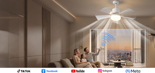 2-in-1 Ceiling Fan with Remote Control