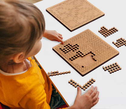 Fraction Puzzle