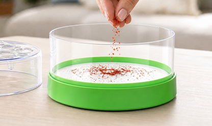 Non-Electric Fly Trap