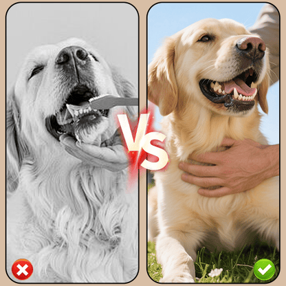 Pet Tartar Removal Spray