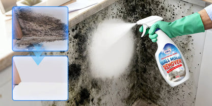 Fast-Acting Anti-Mould Cleaning Spray for Walls