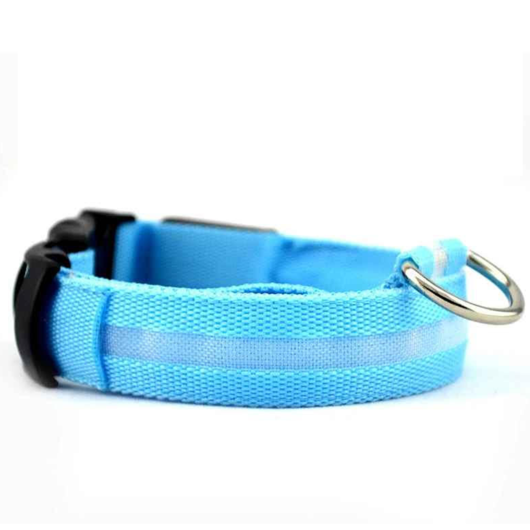LED Dog Collar