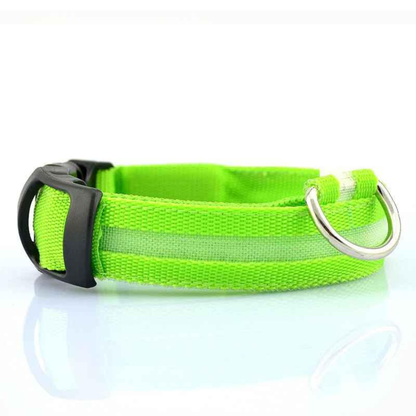 LED Dog Collar