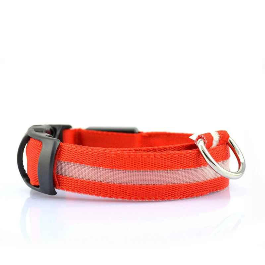 LED Dog Collar