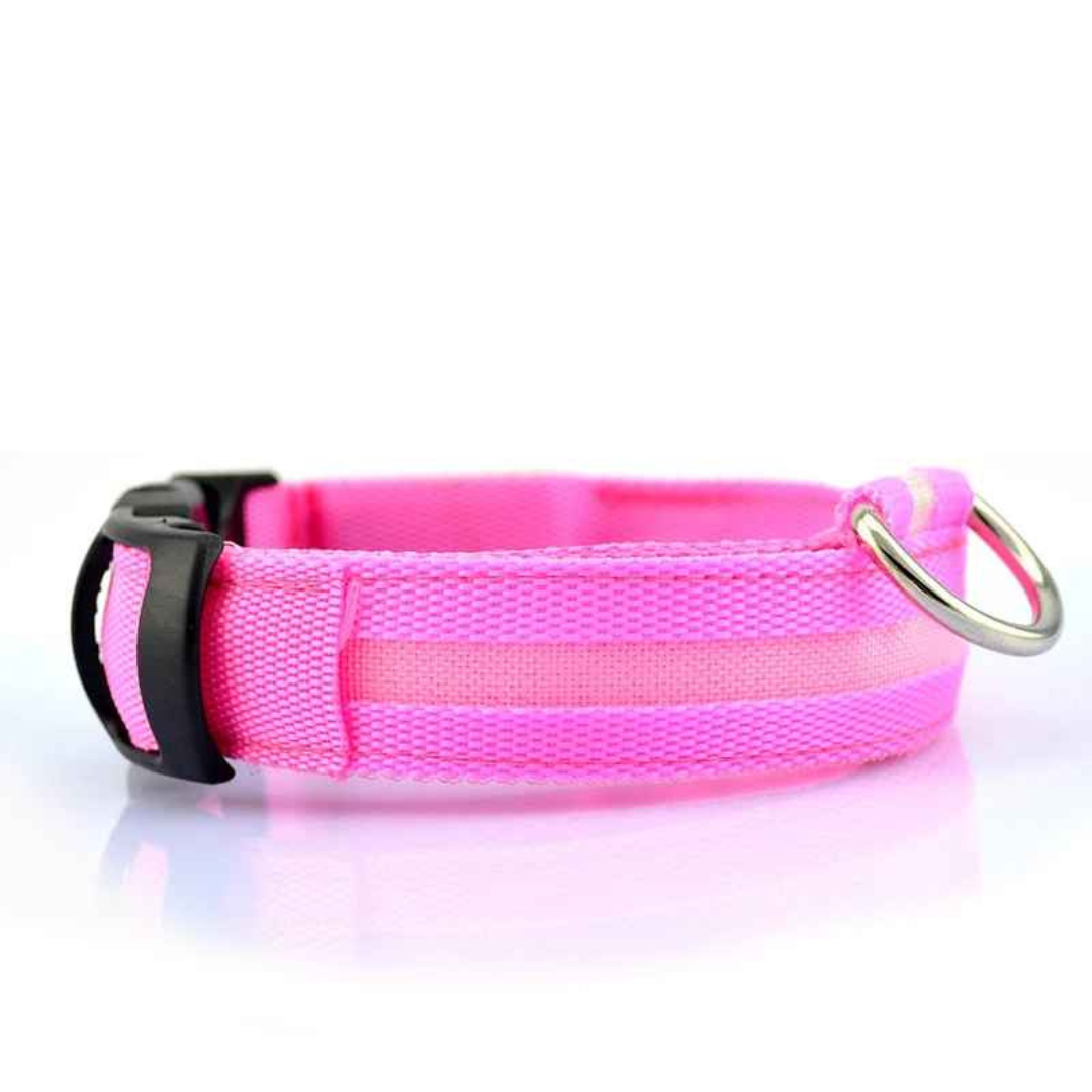 LED Dog Collar