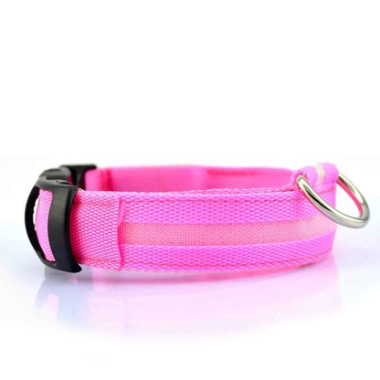 LED Dog Collar