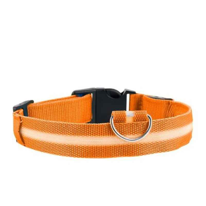 LED Dog Collar