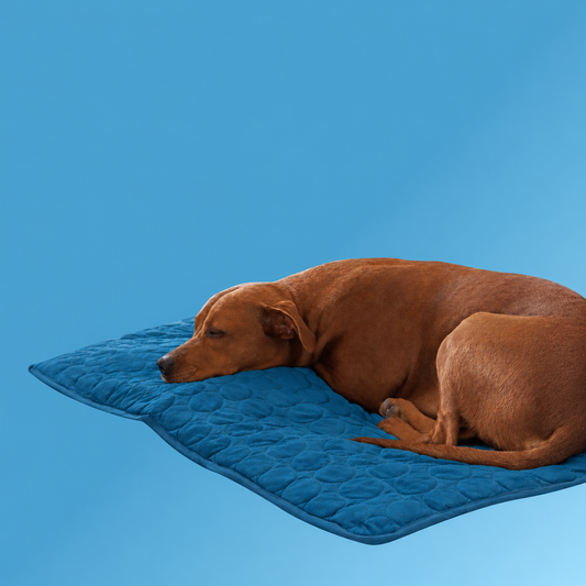 ArcticCloud® - Cooling Dog Mat (BUY 1 GET 1 FREE)