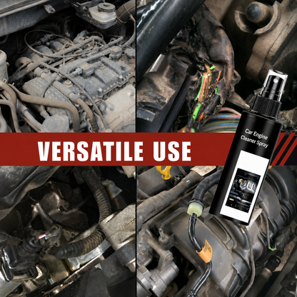 Engine Cleaning Spray