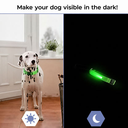 LED Dog Collar