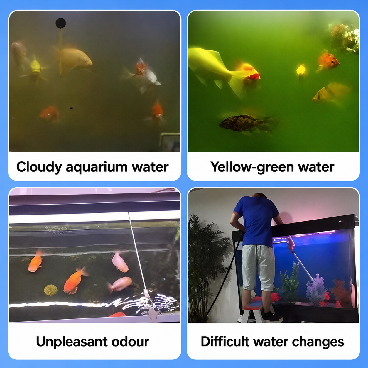 Water Purification Tablets for Aquariums