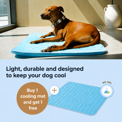 ArcticCloud® - Cooling Dog Mat (BUY 1 GET 1 FREE)