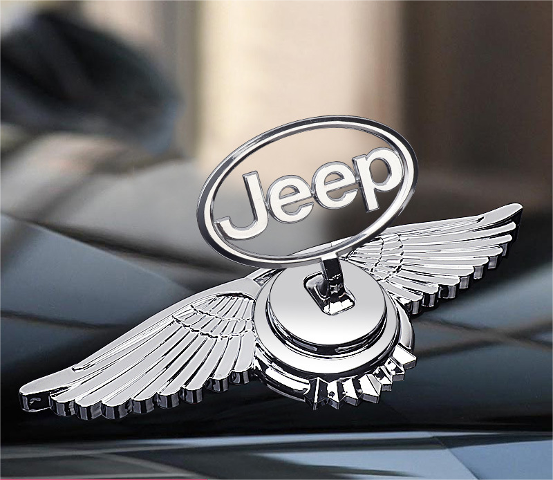 Car Logo Bonnet Emblem