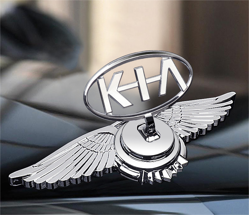 Car Logo Bonnet Emblem