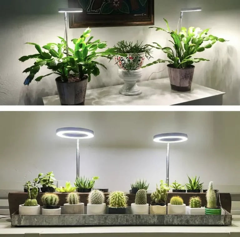 Full-Spectrum Plant Light