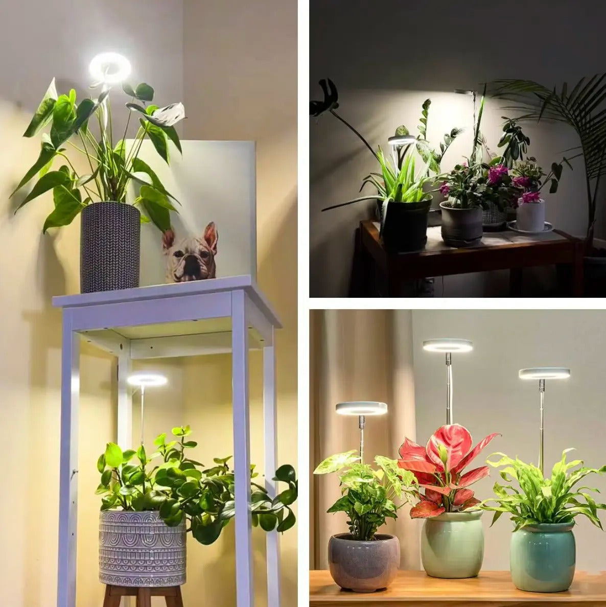 Full-Spectrum Plant Light