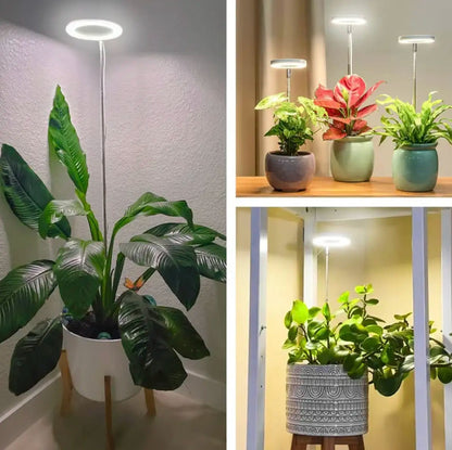 Full-Spectrum Plant Light