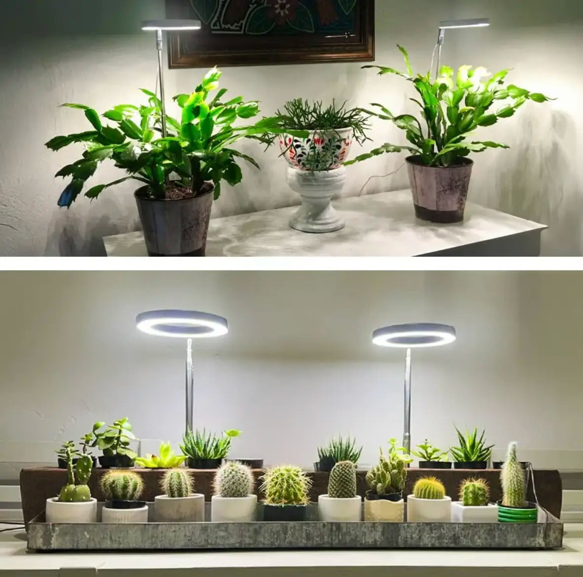 Full-Spectrum Plant Light