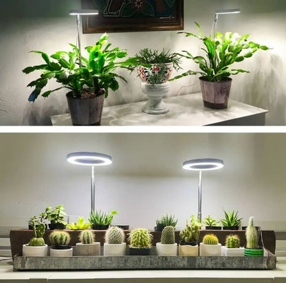 Full-Spectrum Plant Light
