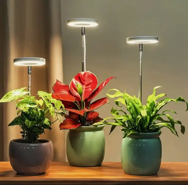 Full-Spectrum Plant Light