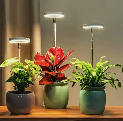 Full-Spectrum Plant Light
