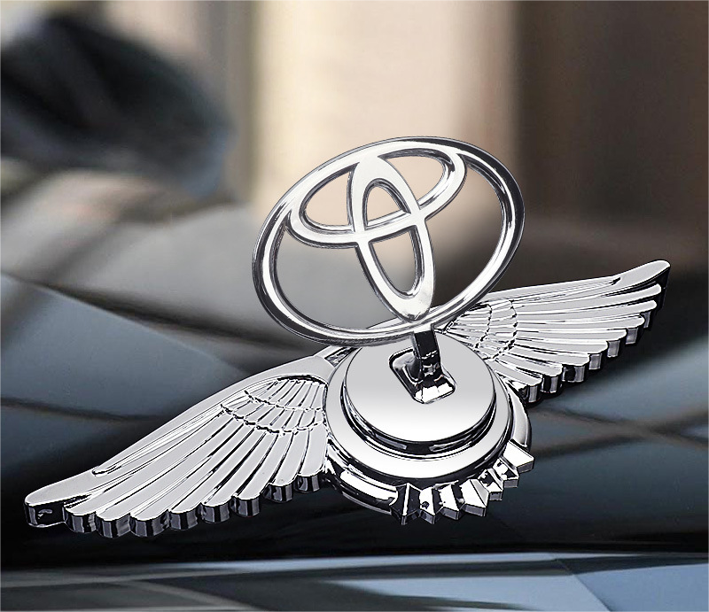 Car Logo Bonnet Emblem
