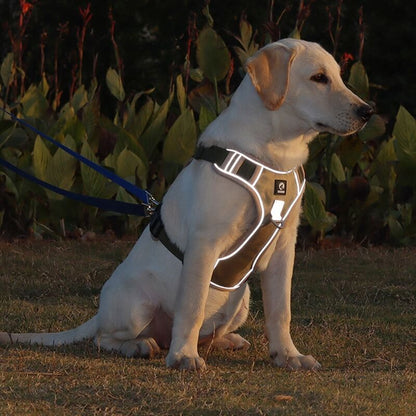 Dog leash harness | JoyWalk™