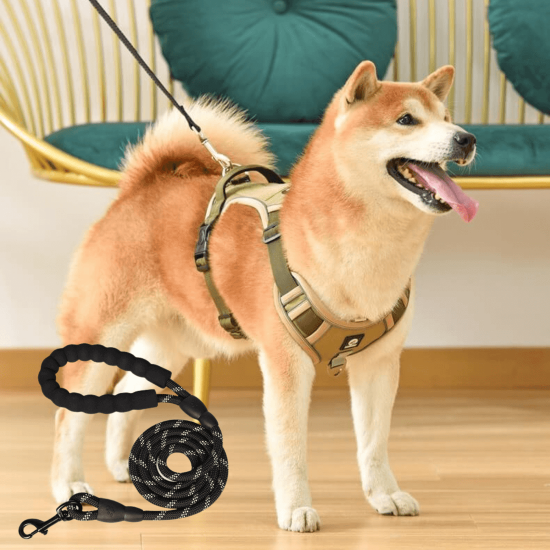 Dog leash harness | JoyWalk™
