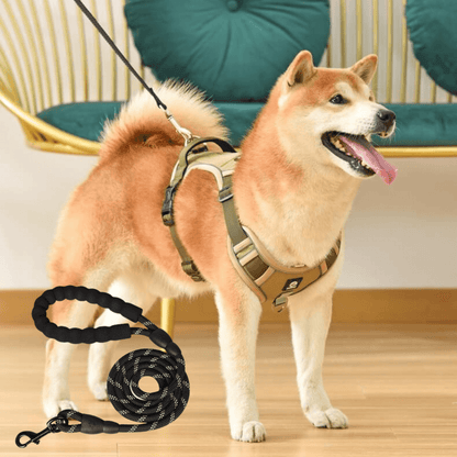Dog leash harness | JoyWalk™