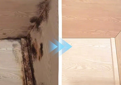 Fast-Acting Anti-Mould Cleaning Spray for Walls