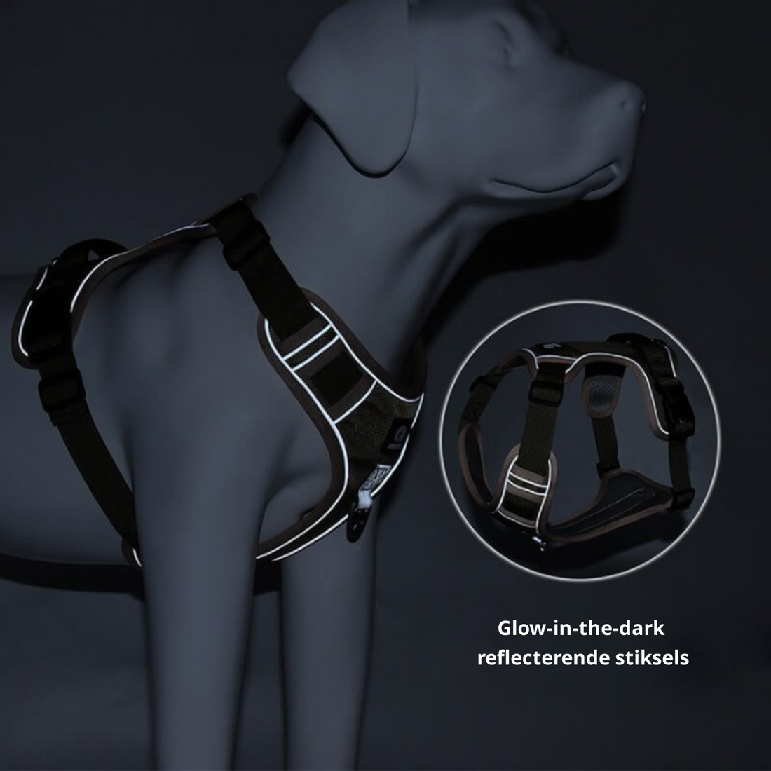 Dog leash harness | JoyWalk™