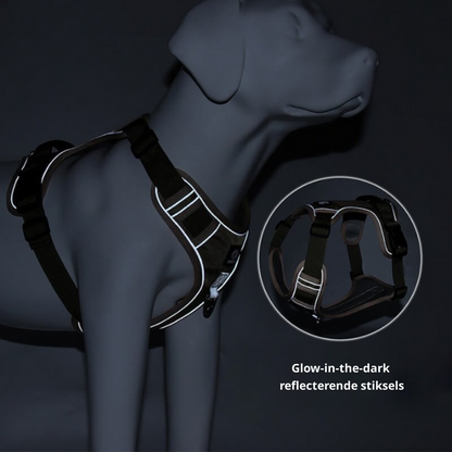 Dog leash harness | JoyWalk™