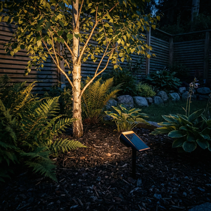 Terra – Solar-Powered Garden Light