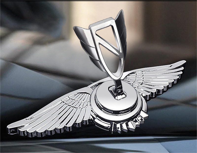 Car Logo Bonnet Emblem
